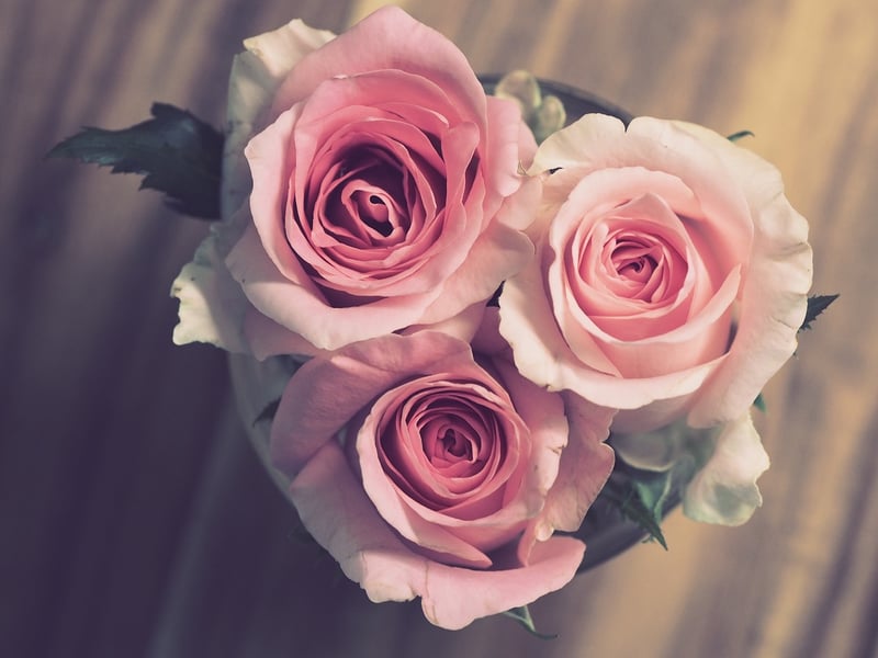 Wedding Anniversaries